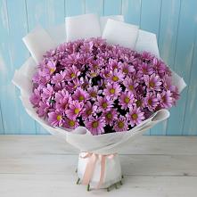 Букет цветов из:  Хризантемы #REPLACE_PRED# Молочном