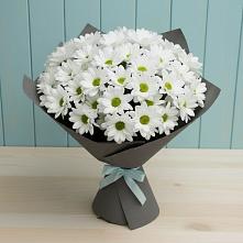 Букет цветов из:  Хризантемы #REPLACE_PRED# Молочном