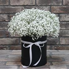 Цветочная композиция из Гипсофила в шляпной коробке в Молочном