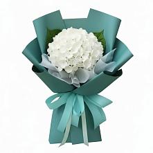 Букет цветов из:  Гортензия в Молочном